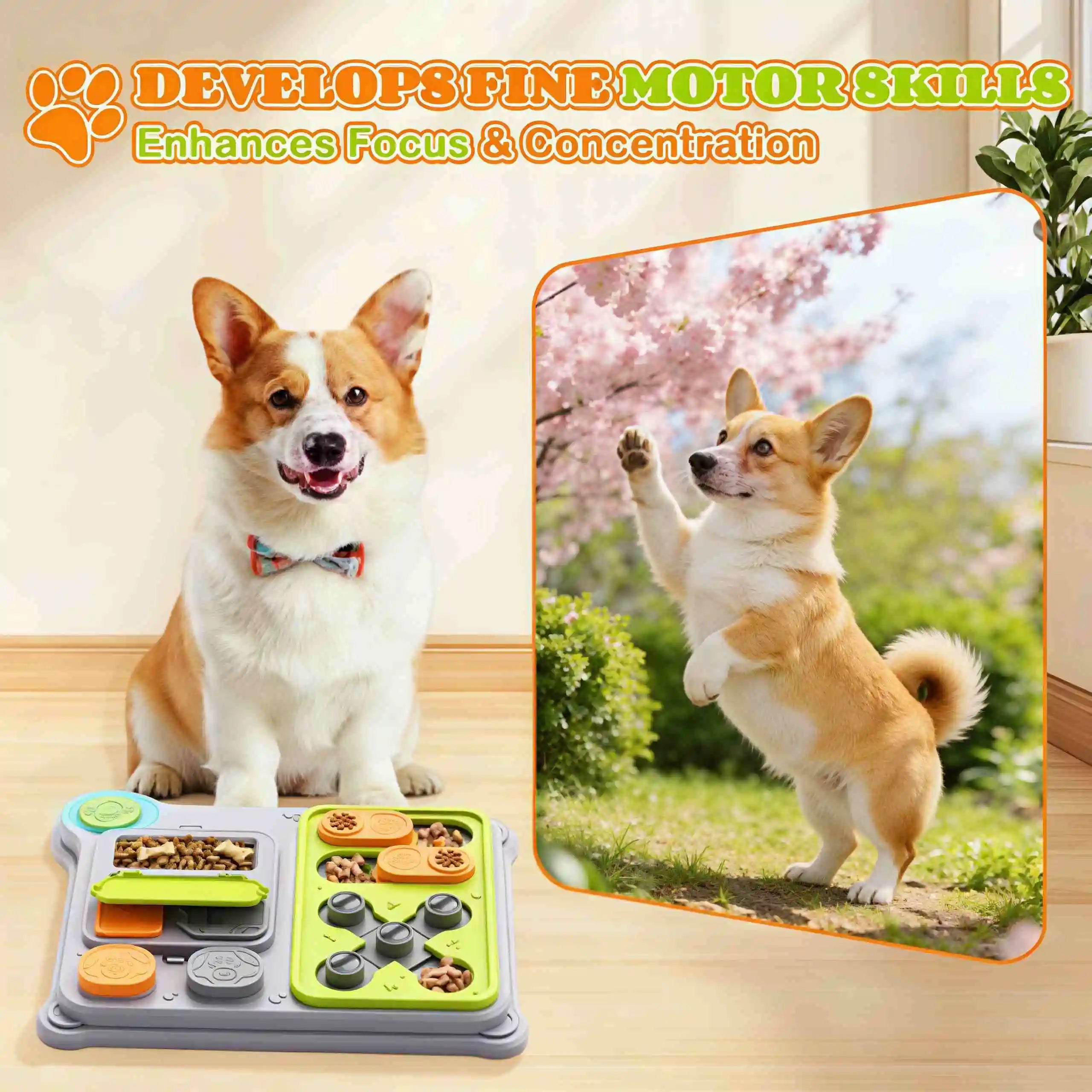 This new interactive dog puzzle toy doubles as a pet treat dispenser. Perfect for IQ training of small and medium-sized dogs